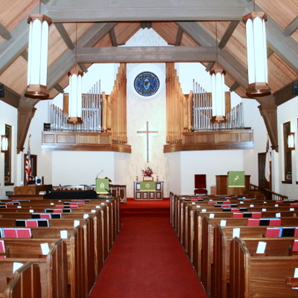 Volunteer with Quality Deer Management Association